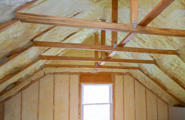 Best Attic Insulation Installation  in Dixon, IL