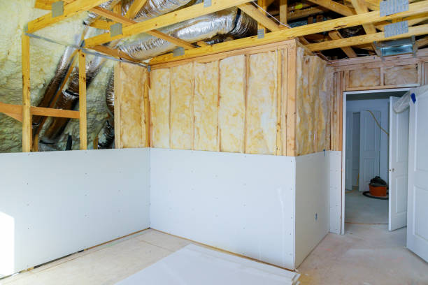 Best Affordable Insulation Services  in Dixon, IL