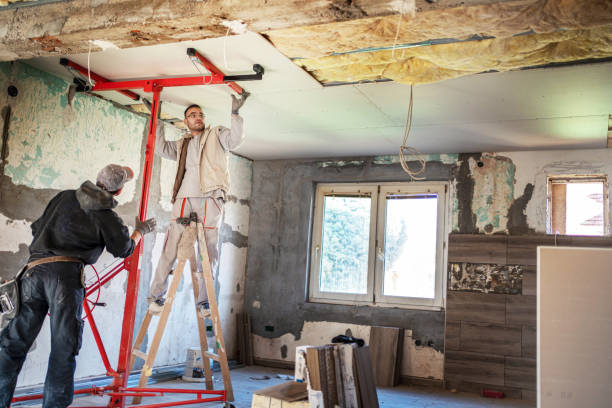 Best Professional Insulation Contractor  in Dixon, IL