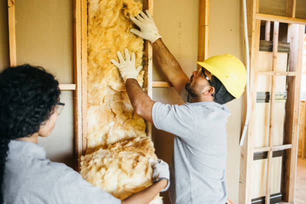 Best Commercial Insulation Contractor  in Dixon, IL