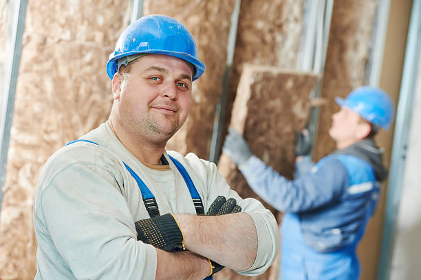 Best Insulation for New Construction  in Dixon, IL