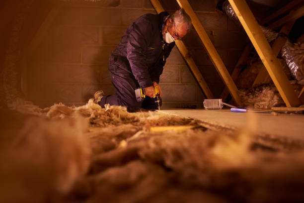 Best Cellulose Insulation  in Dixon, IL