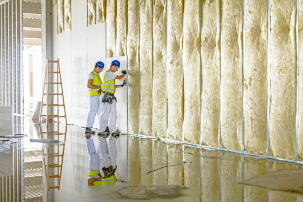 Best Insulation Replacement Services  in Dixon, IL